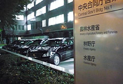 東京・霞が関の農林水産省本省玄関脇。副大臣、大臣政務官の公用車が連日、夜遅くまで駐車している。