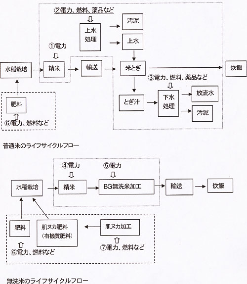 普通米・無洗米のライフサイクルを示した図