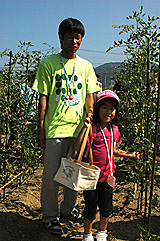 子どもと一緒にミニトマトの収穫をするＪＡ職員