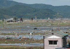 大震災後の水田被害状況