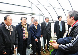 ＪＡ全農とトヨタ、茨城県つくば市にある農業生産法人（株）ＴＫＦの３者の勉強会は「現場」で行われた。張会長（左）にベビーリーフを手にとり説明する木村代表（右）。中央奥に加藤専務。