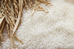 米生産・流通最前線2017