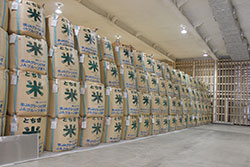 倉庫には今年収穫された「とちぎ米」が。バラ化率は年々拡大している