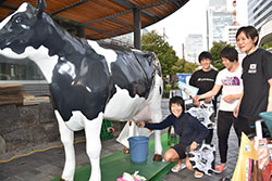 牛の模型。模擬搾乳ができる。空手の日本女子代表チームのみなさん