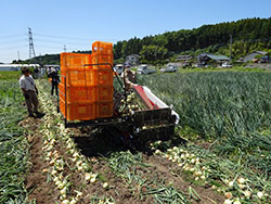 レンタル農機を使った収穫作業