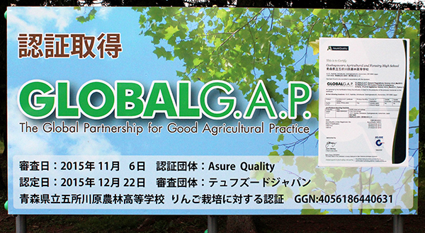 GLOBALG.A.P.認証取得