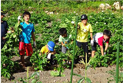 福島の子ども保養プロジェクト「コヨット！」