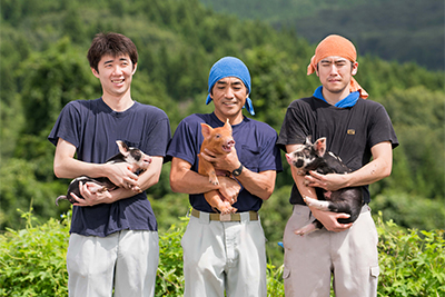同牧場の社員に抱かれる「日本の米育ち豚」たち