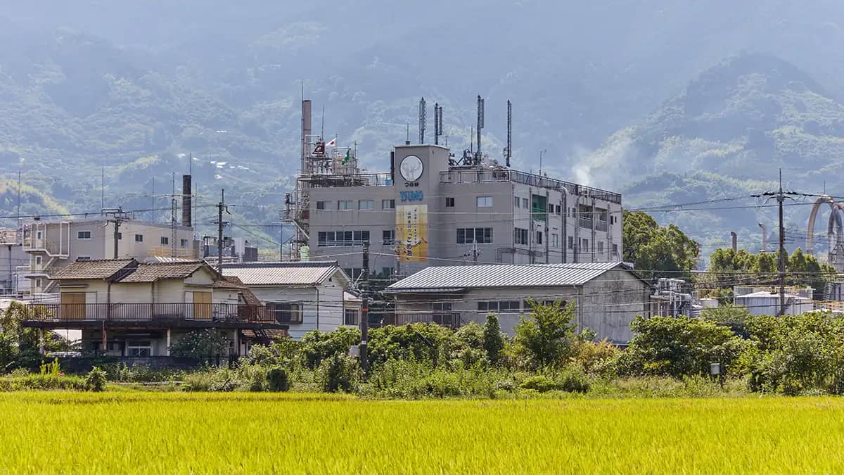 米ぬか由来成分が油脂中の香りを保つ効果を確認　福島大学と共同研究　築野食品工業