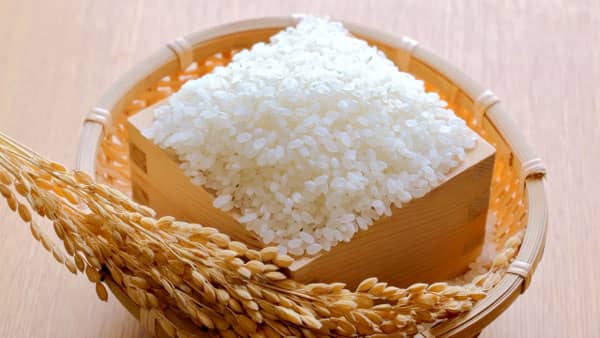 コシヒカリ2万9100円　激しい集荷競争背景　ＪＡほくさい