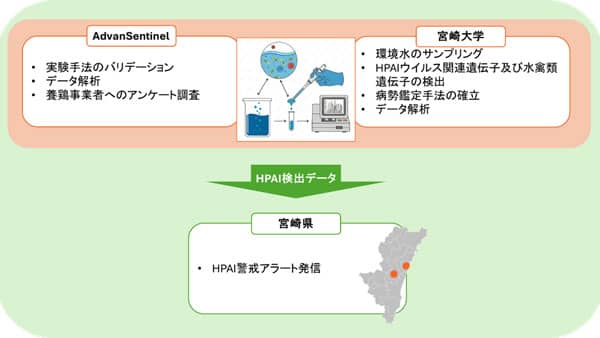 渡り鳥が飛来する湖沼水での鳥インフル検出情報を防疫へ　宮崎県で共同研究開始