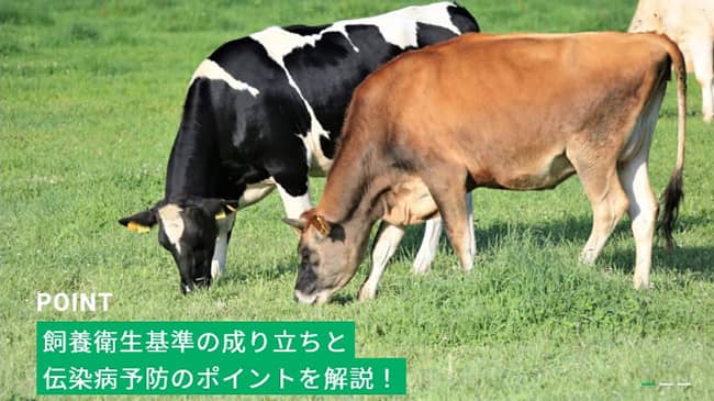 畜産農場従事者向けWebメディア「畜産ナビ」開始　共立製薬