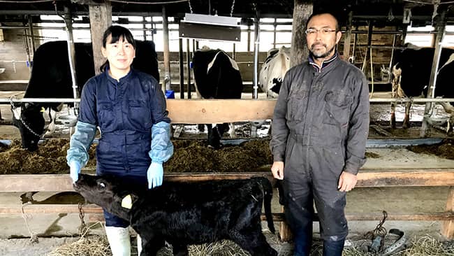 北海道の新規就農者をお菓子でサポート　子牛用ヒーター贈呈　シーキューブ