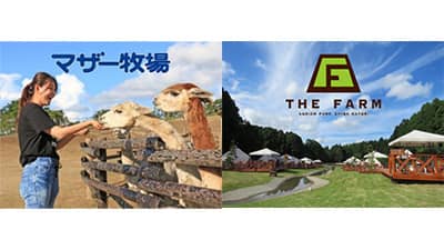 農業ビジネスの「THE FARM」と協力　マザー牧場に新たなグランピング登場