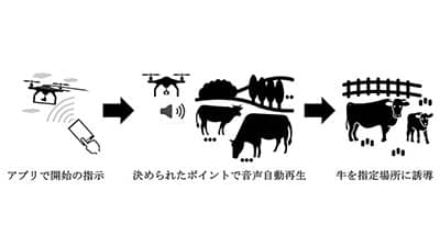 ドローンで牛を誘導　ドコモの実証実験でサポート　テックファーム
