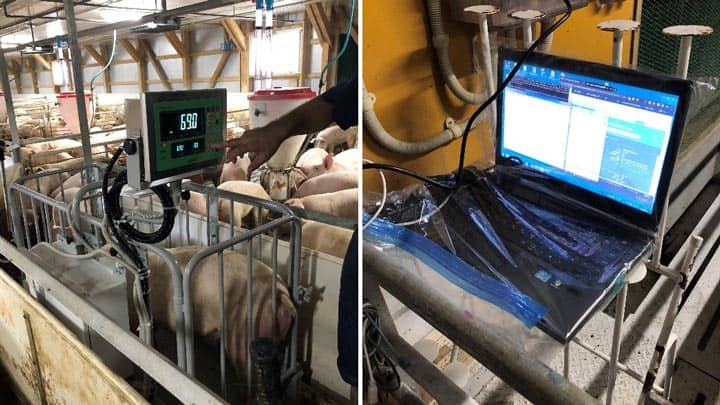 「スマート農業実証プロジェクト」トヨタの参画で加速化　Eco-Pork