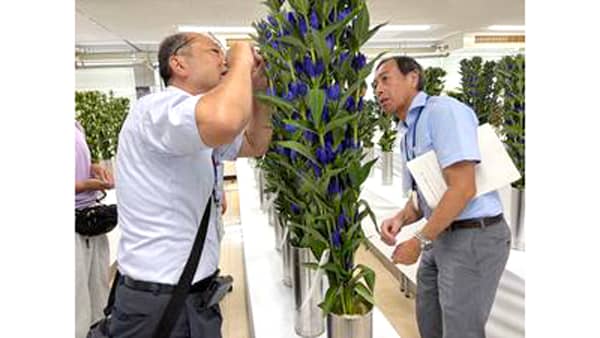 令和7年度岡山県花き共進会を開催　最優秀賞は新見市の黒笹明氏　岡山県花き生産協会