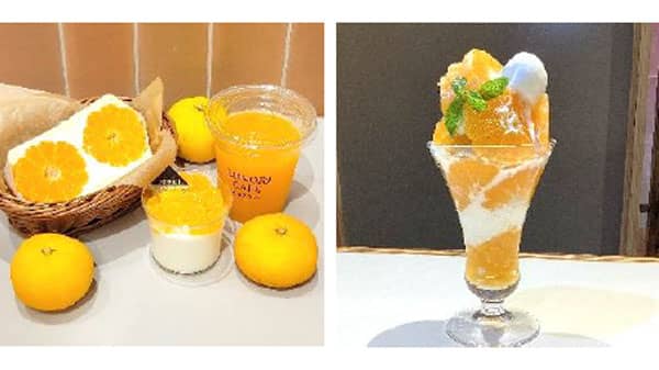 「和歌山県産みかんフェア」全農直営飲食店舗で開催　ＪＡ全農