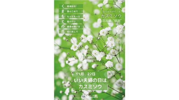 11月22日はカスミソウを贈ろう「熊本県産カスミソウフェア」開催　ＪＡ全農