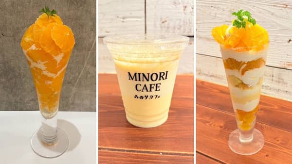 甘みたっぷりブランド温州みかん　福岡県産「北原早生フェア」25日から開催　ＪＡ全農