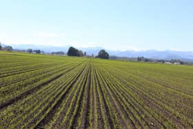 【ＪＡトップインタビュー】農民が一致団結して　底力を発揮するとき
