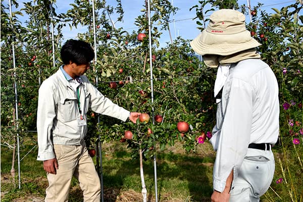 「地域」をブランドに　自然条件活かし少量多品目産地化【ＪＡ信州うえだ（長野県）】（後半）