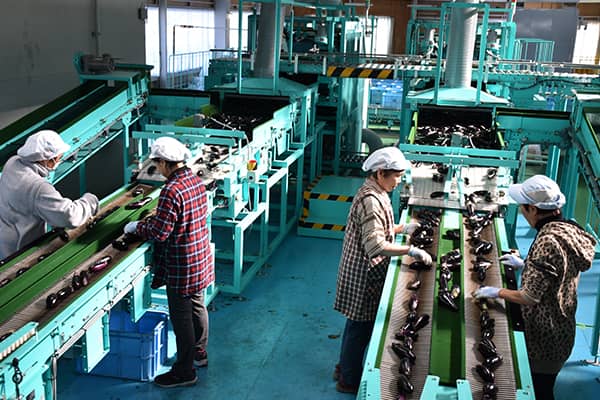 【現地レポート・ＪＡ土佐あき（高知県）】「一元集荷」と「共同計算」は農業振興策そのもの（前編）