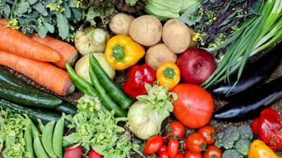 3月の野菜生育状況　ばれいしょとレタスは前半がお買い得　農水省