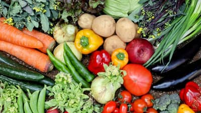 野菜でもコスト考慮した仕組みづくり議論へ　ＷＧが初会合