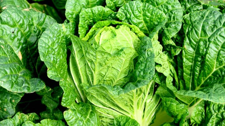 はくさい、キャベツなど安値傾向　1月の野菜の生育状況と価格見通し　農水省