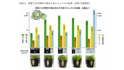 【現場で役立つ農薬の基礎知識2022】堆肥利用に高まる関心　土づくりと複合肥料活用のコツは（２）