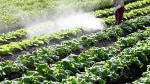 天然キレート剤市場における農薬用途　2030年に2億1500万米ドル到達予測