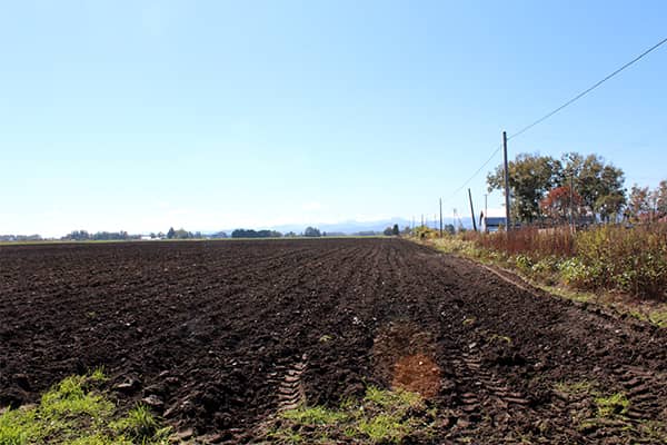 土づくりが決める品質と収量