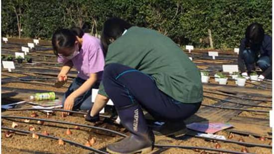 「2027年国際園芸博覧会」に向けて植栽試験の秋植え作業を実施
