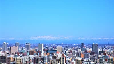 鳥インフルで卵の供給不足が影響　北海道の「白い恋人」オンライン販売休止