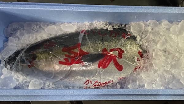 今が旬「能登の天然寒ブリ」毎週提供で被災地を支援　グリーンコープ共同体