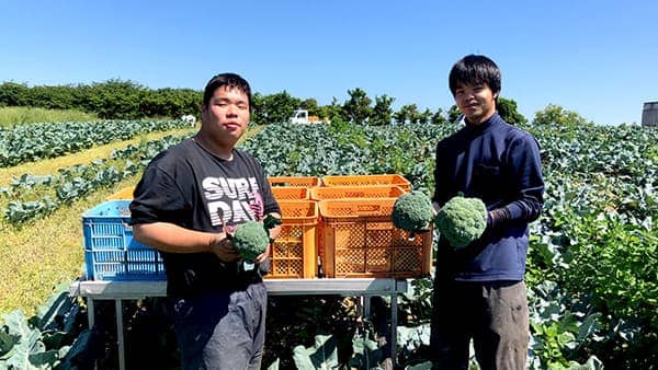 冷凍ブロッコリーの国産化と若手農業者育成へ　クラウドファンディングで支援募集