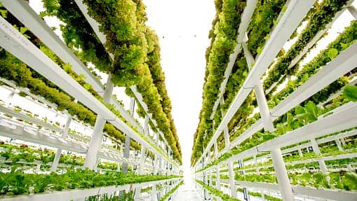 グローバル垂直農業市場の世界的な需要の分析と展望をレポート