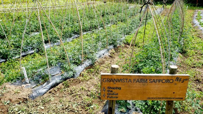 自社農園で作った無農薬栽培野菜のメニューを期間限定で提供　札幌パークホテル