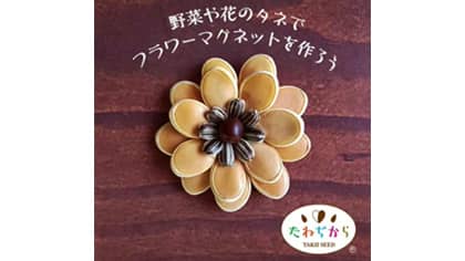種で作るフラワーマグネットの作り方を伝授　タキイ種苗