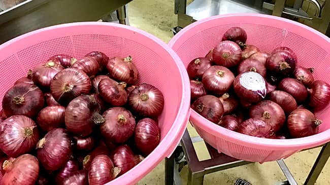 神奈川県内の学校給食に「湘南レッド」のドライカレー提供