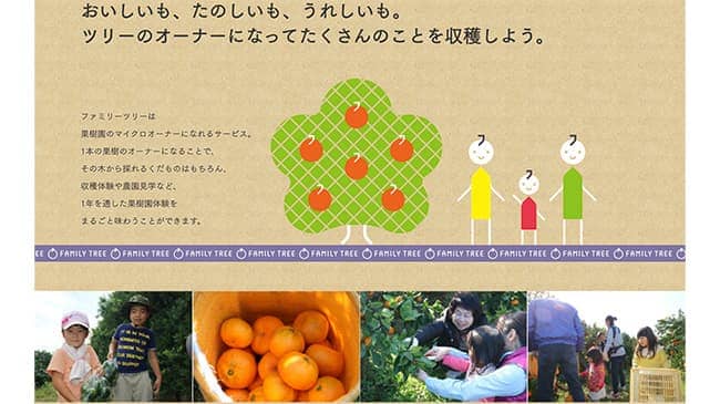 みかんに続き、柿の木のオーナーになれるプラン追加　ファミリーツリー
