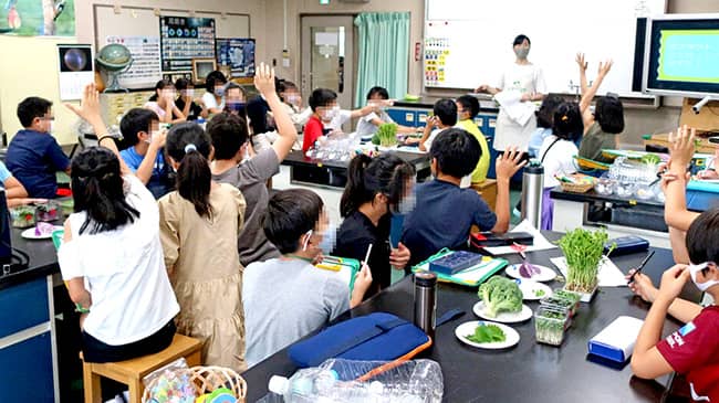 都内小学校でスプラウトの出前授業　村上農園