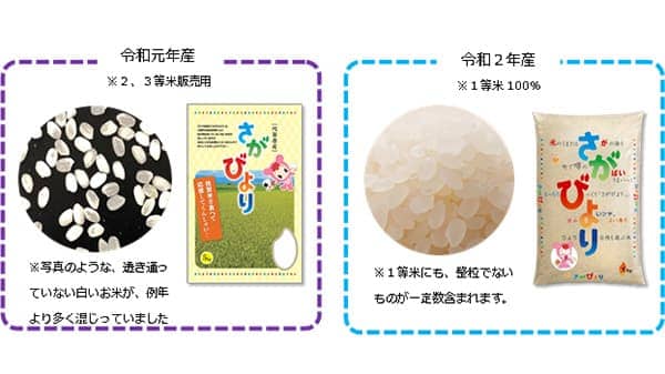 令和2年産新米「さがびより」1等米100％で「透明米袋」復活