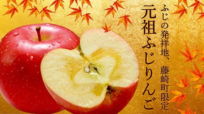 藤崎町の「元祖ふじりんご」継承・存続へクラウドファンディング開始