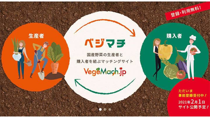 国産やさいマッチングサイト「ベジマチ」参加者募集　農畜産業振興機構