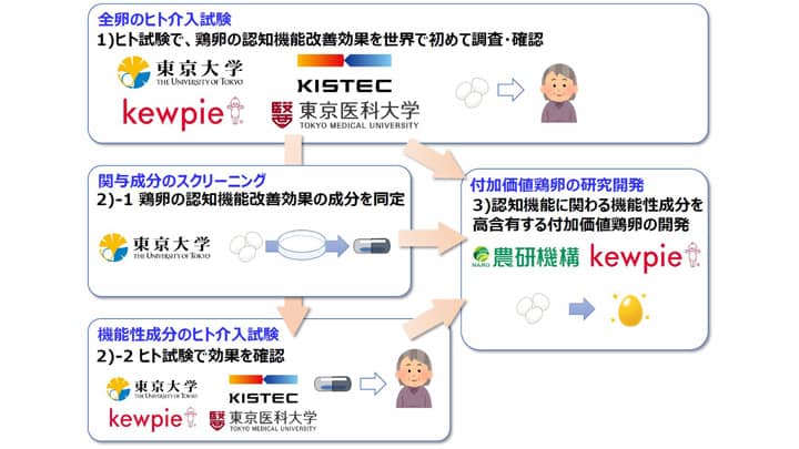 鶏卵の摂取で「認知機能改善効果」を解明　研究推進事業に採択　キユーピー