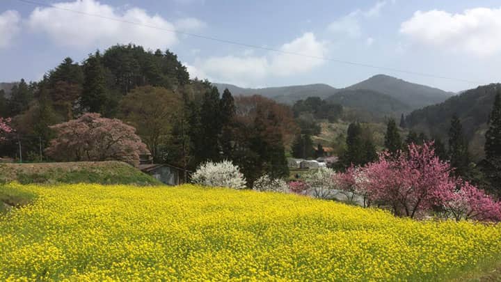 長野県麻績村産の新米「麻績美米」が発売　アリとキリギリス農園