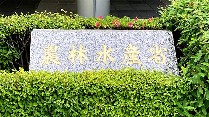 いちごのアザミウマ類　関東、東海、中国、南九州で発生に注意　病害虫発生予報第一号