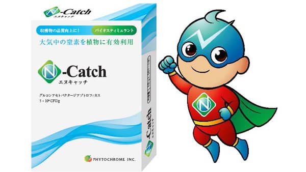 大気中の窒素を植物に有効利用　バイオスティミュラント「エヌキャッチ」新発売　ファイトクローム